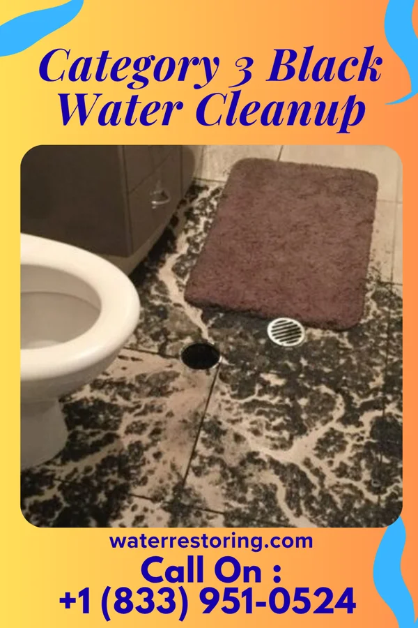 Category 3 Black Water Cleanup in St. Louisville, OH