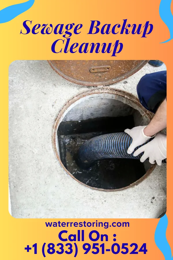 Sewage Backup Cleanup in St. Louisville, OH