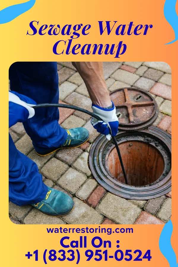 Sewage Water Cleanup in St. Louisville, OH