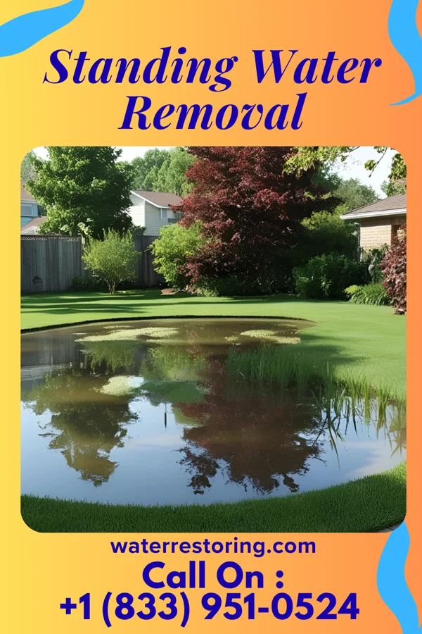 Standing Water Removal in St. Louisville, OH